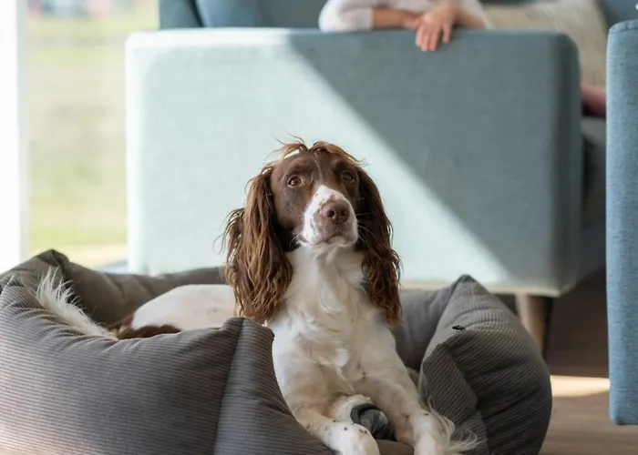 Villavilla 696 - Skastrup Strand, Fyn Og Oer *